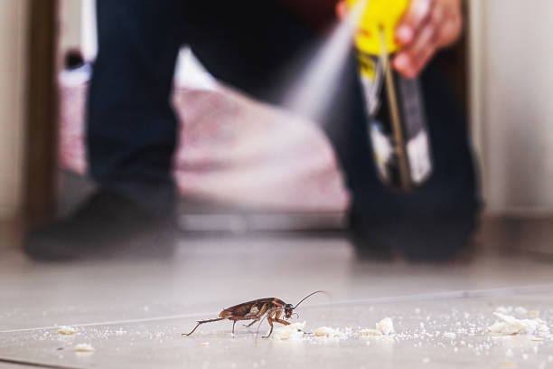 New London, OH Pest Control Company